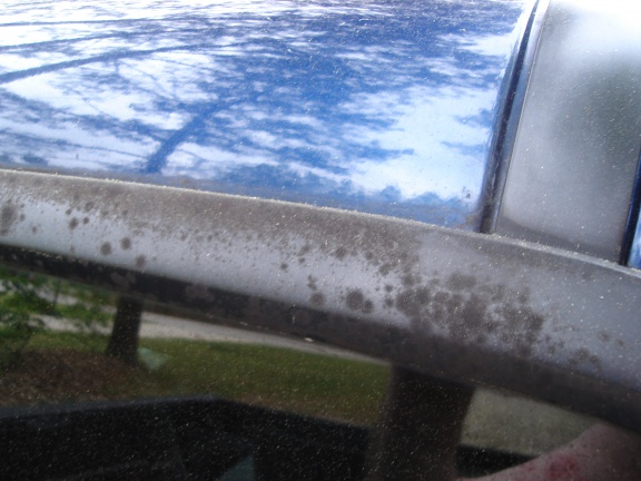 Back Window Seal 001.jpg