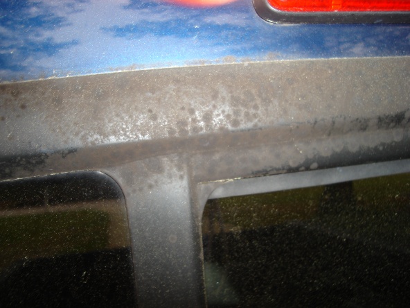 Back Window Seal 002.jpg