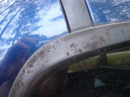 Back Window Seal 003.jpg