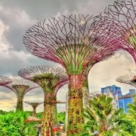 Singapore Guides
