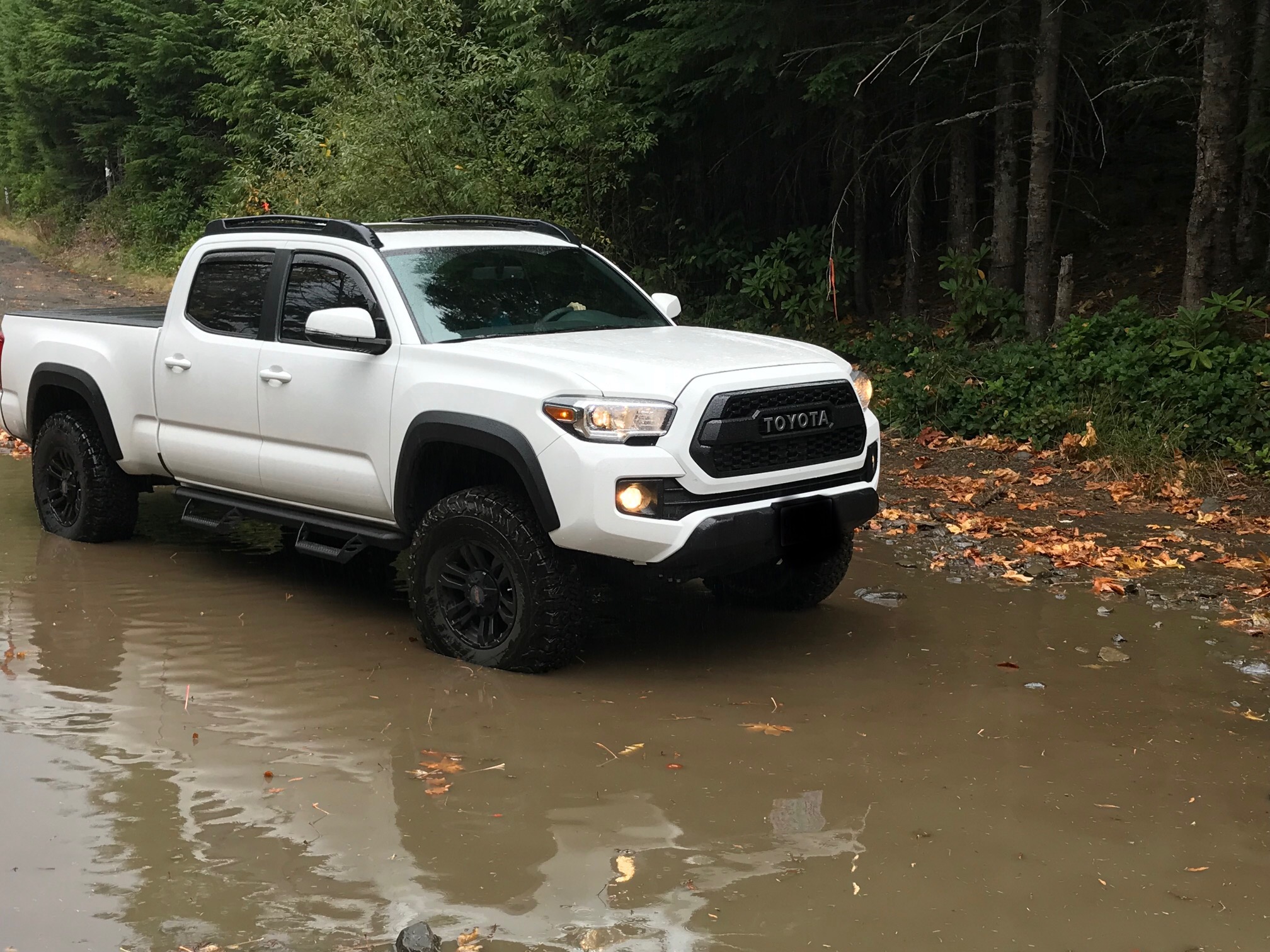 Bath time